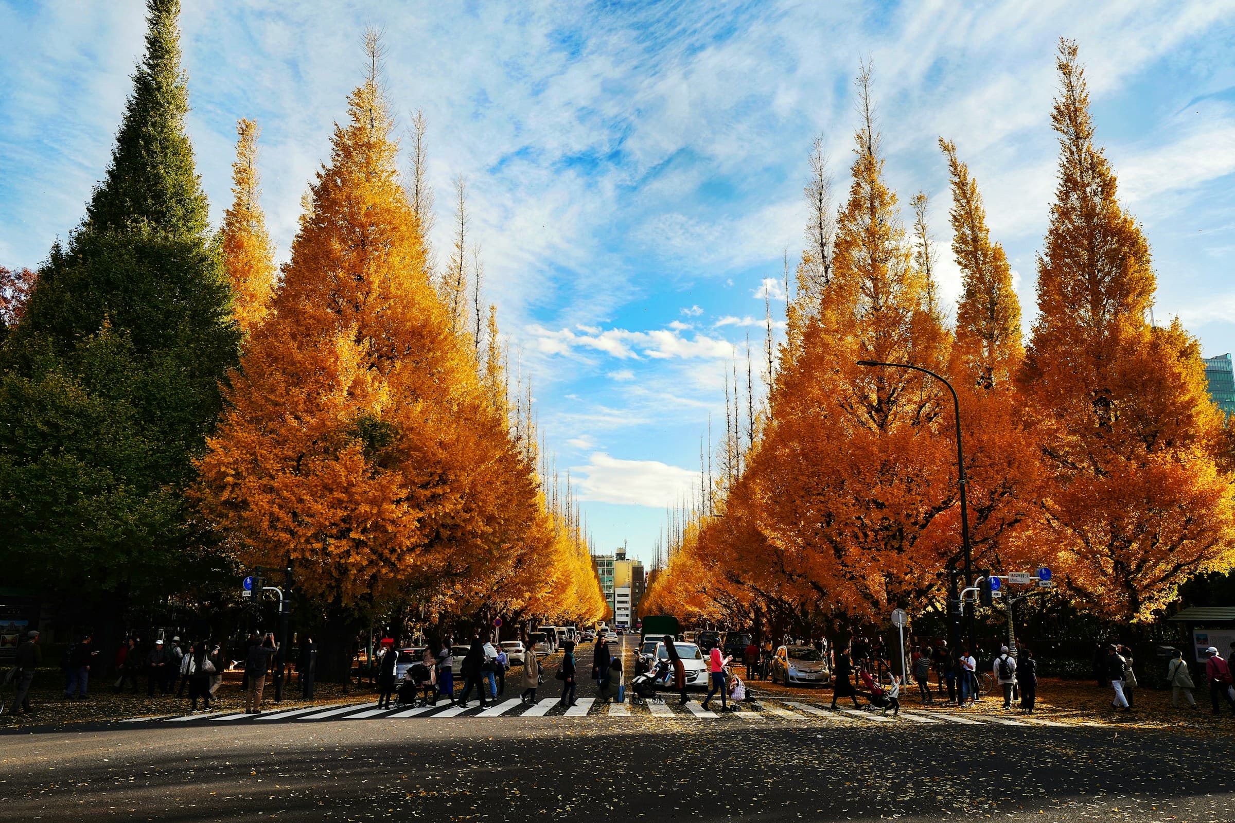 Tokyo, Japan